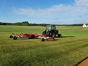 Laytonsville Landscaping Sod