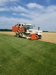 Laytonsville Landscaping Sod